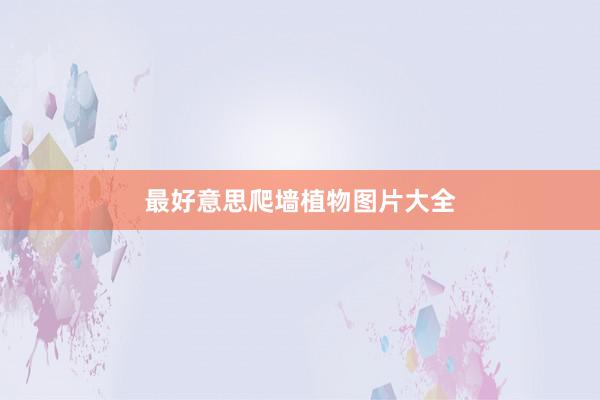 最好意思爬墙植物图片大全