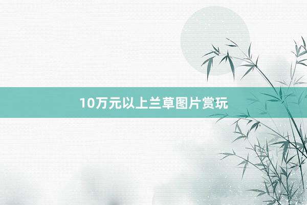 10万元以上兰草图片赏玩