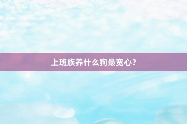 上班族养什么狗最宽心？