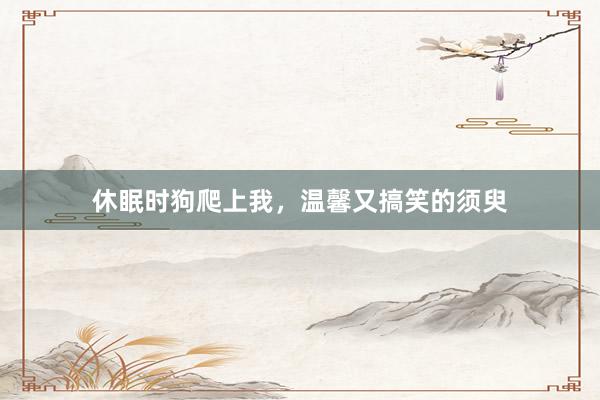 休眠时狗爬上我，温馨又搞笑的须臾